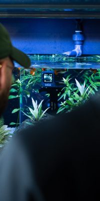 Maxi Zoo go pro